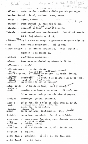 Liosta Focal a chuir An tAth. P. Ó Súilleabháin OFM le chéile